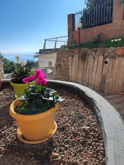 Torre Del Meridiano Casa Vacanze Centrale Термолі Екстер'єр фото